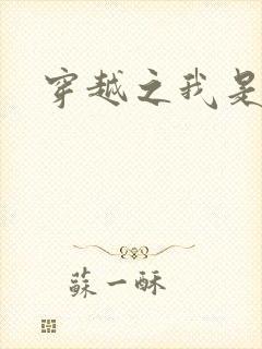 穿越之我是华筝