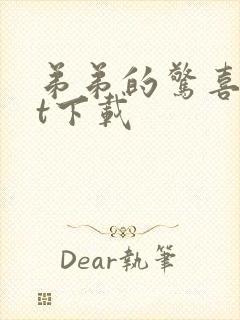 弟弟的惊喜txt下载