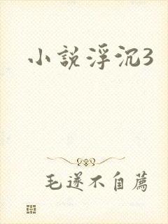 小说浮沉3