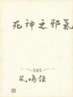 死神之邪气一护