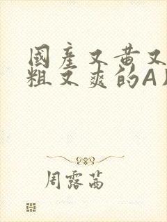 国产又黄又猛又粗又爽的A片小说