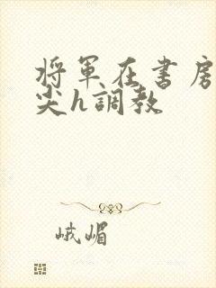 将军在书房含乳尖h调教