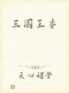 三国王睿