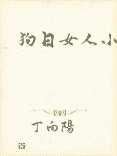 狗日女人小说
