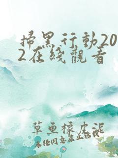 扫黑行动2022在线观看