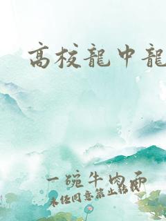 高校龙中龙全集