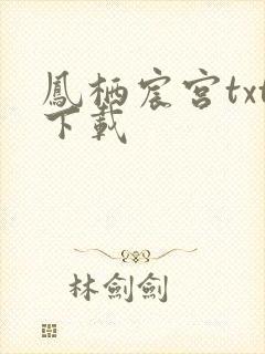 凤栖宸宫txt下载
