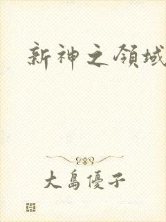 新神之领域