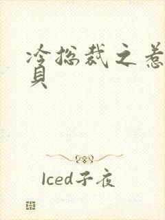 冷总裁之惹火宝贝