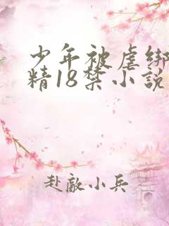 少年被虐绑着榨精18禁小说