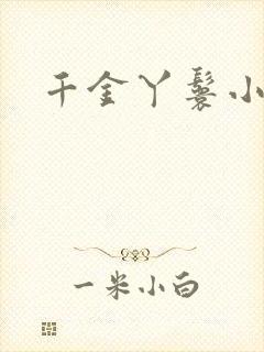 千金丫鬟小说