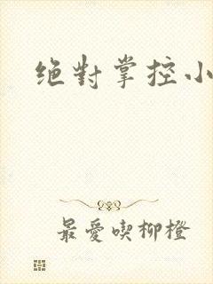 绝对掌控小说