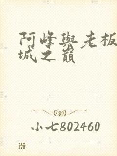 阿峰与老板娘倾城之巅