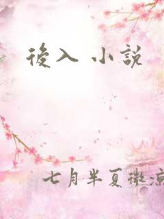 后入 小说