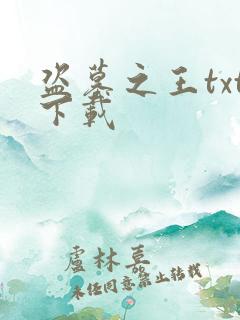 盗墓之王txt下载