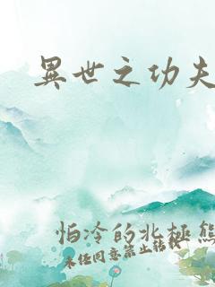 异世之功夫之王