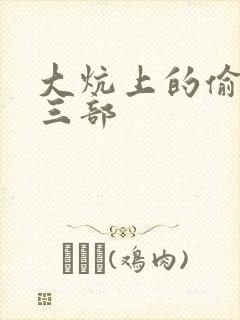 大炕上的偷乱第三部