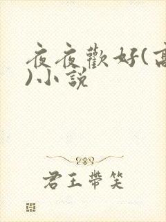 夜夜欢好(高h)小说