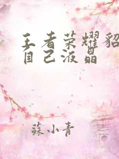 王者荣耀貂蝉喝自己液晶