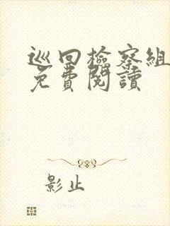 巡回检察组小说免费阅读