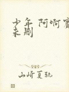 少年 阿啊宾文未删