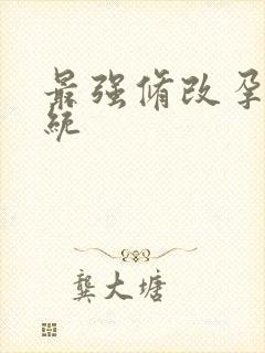 最强修改孕妇系统