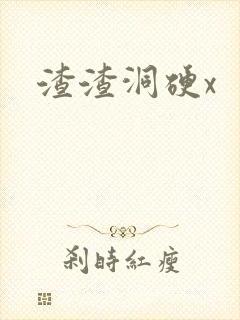 渣渣洞硬x