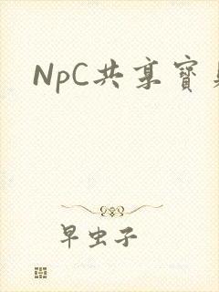 NpC共享宝贝