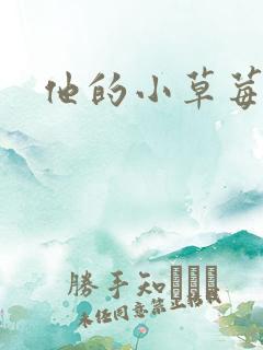 他的小草莓