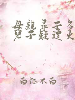 母亲寻子多年 儿子疑遭火车撞击身亡