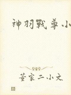 神羽战尊小说