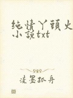 纯情丫头火辣辣小说txt