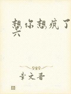想你想疯了 奚六
