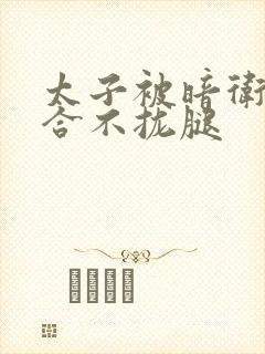 太子被暗卫c到合不拢腿