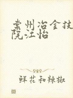 常州冶金技师学院江怡