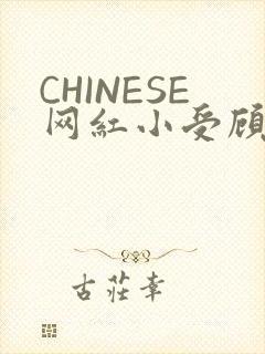 CHINESE网红小受顾泽宇