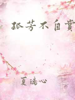 孤芳不自赏小说