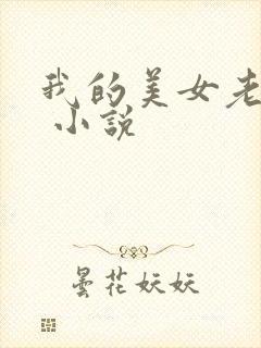 我的美女老婆们 小说