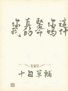 你真紧你这是要我的命吗什么意思