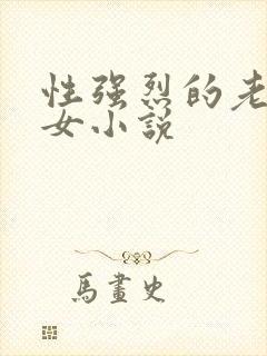 性强烈的老年妇女小说