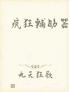 疯狂辅助器