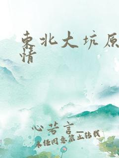 东北大坑原始激情