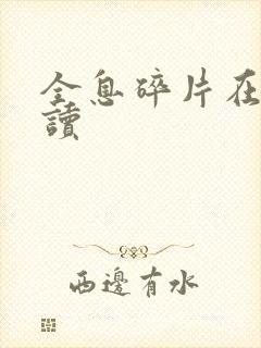 全息碎片在线阅读