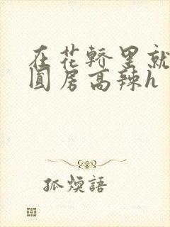 在花轿里就开始圆房高辣h