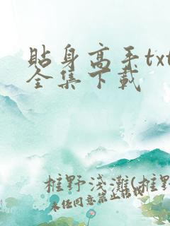 贴身高手txt全集下载