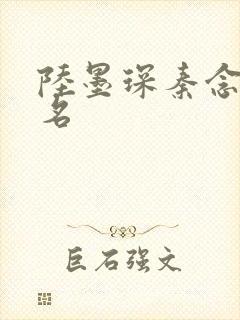 陆墨琛秦念小说名