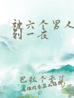 被六个男人躁J到一夜