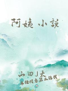 阿姨 小说