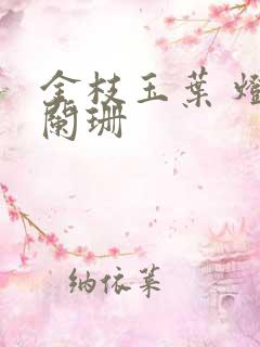 金枝玉叶 灯火阑珊