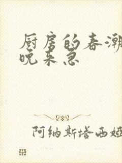 厨房的春潮带雨晚来急